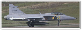 grippen